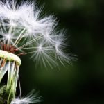 Want To Know How To Deal With Allergies? Keep Reading